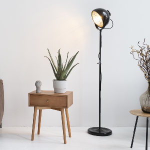 Floor Lamps